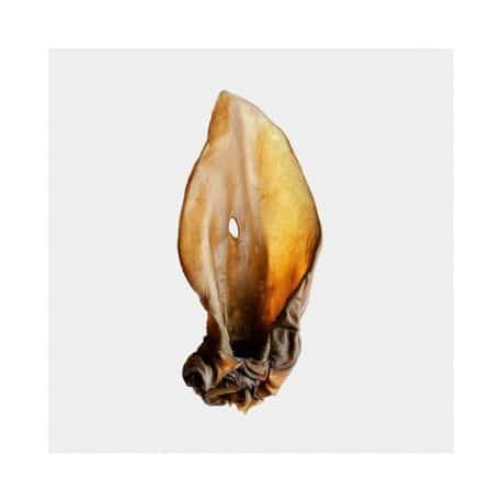 Oreille de boeuf a l'unité