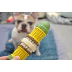 Jouet épi maïs cravin corncob : M-L