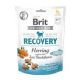 Brit Care Snack Recuperation 150 Gr