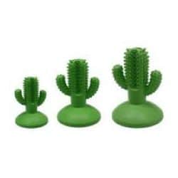 Cactus a ventouse arome menthe