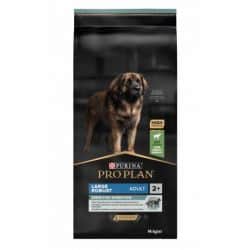 Croquettes pour chien adulte robust sensitive digestion à l'agneau Pro plan 14kg