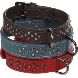  Collier denver pour lévrier avec ferrures
