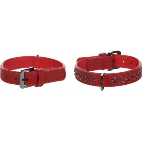  Collier denver pour lévrier avec ferrures