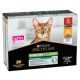ADULT STERILISED BOEUF & POULET EN SAUCE 10X85g