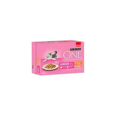 ONE Junior - Effilés en Sauce : Saumon, Poulet 8x85g