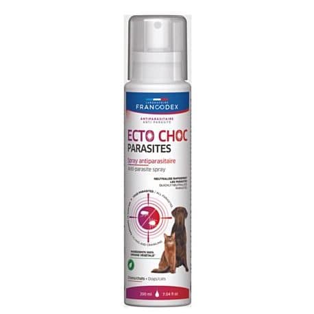 SPRAY ECTOCHOC CNCT 200ML