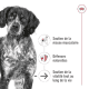 Croquettes pour chien moyen senior adulte Royal Canin 10+