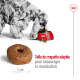 Croquettes pour chien moyen senior adulte Royal Canin 10+