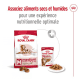 Croquettes pour chien moyen senior adulte Royal Canin 10+