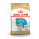Croquettes pour Golden Retriever junior Royal canin
