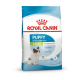 Croquettes pour chiot toy Royal Canin X-Small