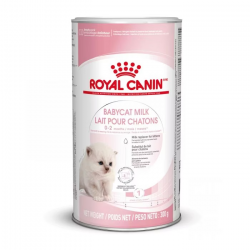 Lait maternisé pour chaton Royal-Canin Babycat milk, 300g