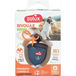 Flasher en forme de noisette USB Bleu
