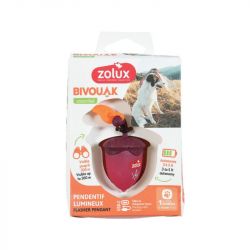 Flasher en forme de noisette USB Rouge