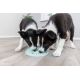 Assiette à lécher pour chien/chat, ø 21 cm, menthe
