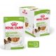 sachets humide royal canin x-small adult 12X85gr