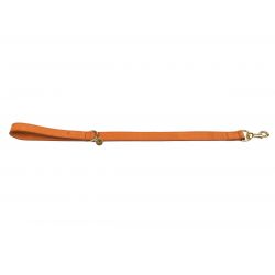 Laisse courte brun clair 60cmx25mm