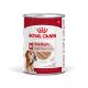 Boite humide royal canin medium ageing 410G