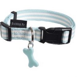 Collier pour chien stripe lagon
