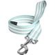 Laisse pour chien stripe lagon