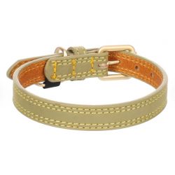 Collier pour chien virginia Vert