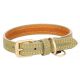 Collier pour chien virginia Vert