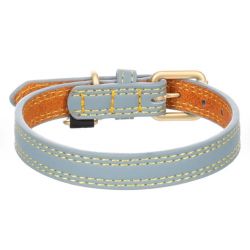 Collier pour chien virginia Bleu clair