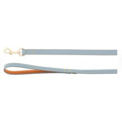 Laisse pour chien virginia Bleu Clair 130cm