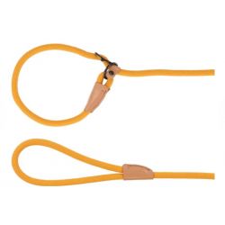 Laisse anti-traction chiot malibu Ocre