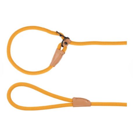 Laisse anti-traction chiot malibu Ocre