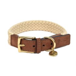 Collier pour chien Tau brun foncé