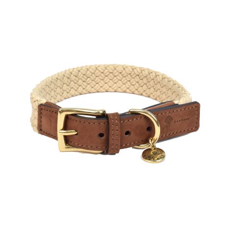 Collier pour chien Tau brun foncé