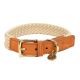 Collier pour chien Tau brun clair