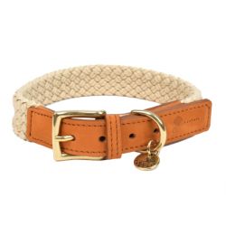 Collier pour chien Tau brun clair