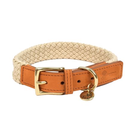 Collier pour chien Tau brun clair