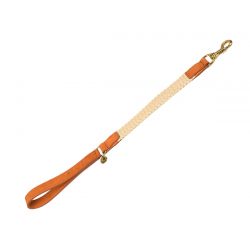 Laisse courte pour chien Tau brun clair