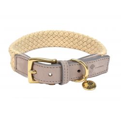 Collier pour chien Tau gris