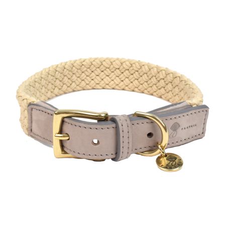 Collier pour chien Tau gris