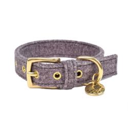 Collier pour chien Stov gris foncé