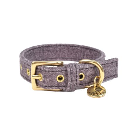 Collier pour chien Stov gris foncé