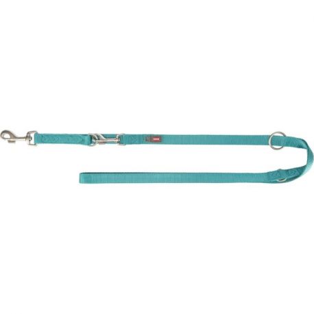 Laisse pour chien premium réglable 2,00 m, aqua