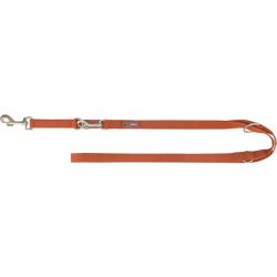Laisse pour chien premium réglable 2,00 m, rouille