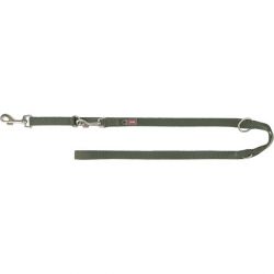 Laisse pour chien premium réglable 2,00 m, vert olive
