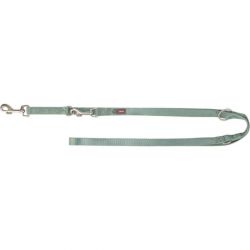 Laisse pour chien premium réglable 2,00 m, sauge