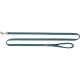 Laisse pour chien premium, extra longue 180cm , pétrole