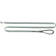 Laisse pour chien premium, extra longue 180cm, sauge