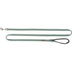 Laisse pour chien premium, extra longue 180cm, sauge