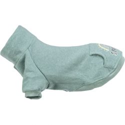 Sweat pour chien Littleton menthe