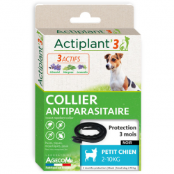 Actiplant Collier Chien 