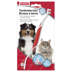 Brosse à dents pour chat et chien
